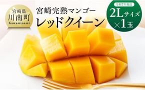 【令和7年発送】宮崎県産完熟マンゴー 「レッドクイーン」2L×1玉 【 果物 フルーツ マンゴー 宮崎県産 完熟マンゴー みやざきマンゴー 先行予約 数量限定 期間限定 】[D03217]