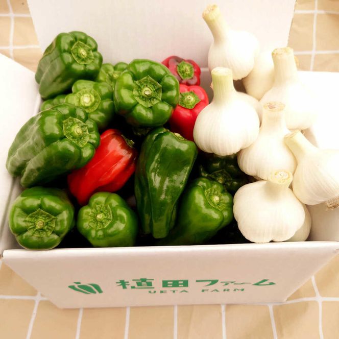 【先行予約】平戸にんにく＆ハッピーマンセット 約3kg〈2026年10月～11月末頃発送〉 ニンニク 自然乾燥平戸にんにく ピーマン 野菜 やさい おかず 副菜 お弁当 新鮮 おいしい 採れたて 国産 訳あり 高知県 土佐市【株式会社植田ファーム】[BQAT010]