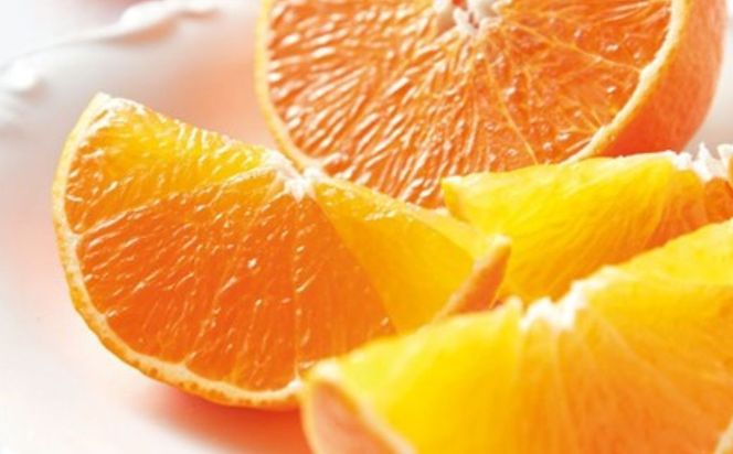 【先行予約】【数量限定】【秀】＼農園直送／愛果48号 約2.5kg ※離島への配送不可（2026年2月下旬より順次発送）  IKTV011