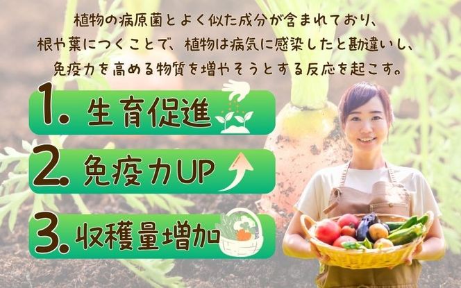 花野果酵母　８０L（２０L×４袋） amtb0002