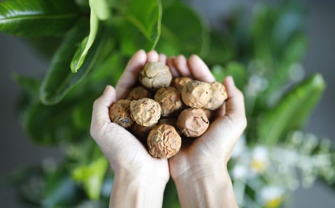 Natural Essence TAMANU スターターセット タマヌ TAMAMU 天然成分 スキンケア 角質ケア 顔 美肌 保湿 化粧 日焼け 美容オイル 乳液 化粧水 美容 コスメ エッセンス 無添加 国産 沖縄県産 沖縄市