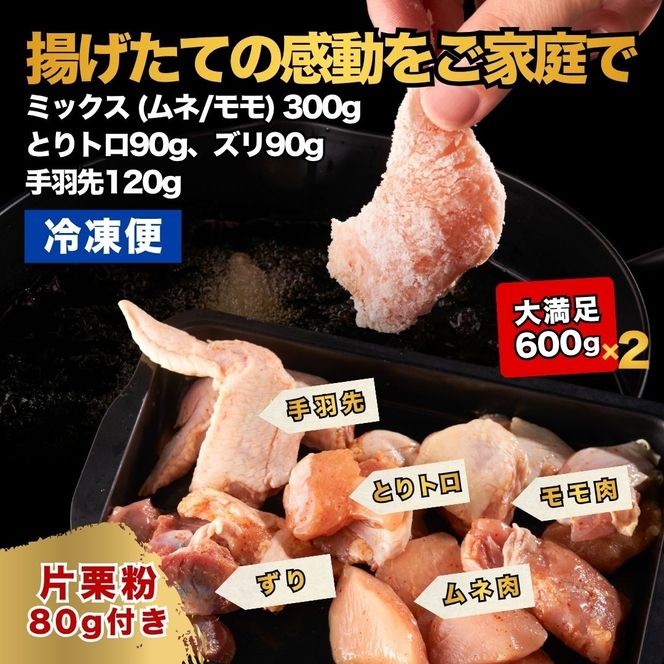 唐揚げ 大分からあげ 600g×2セット（モモ、とりトロ、ムネ、ずり、手羽先） うまタレ付き 0C1-119A 【からあげ壱気】