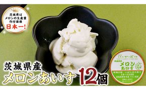 茨城県産メロンあいす 12個 アイス デザート めろん 贈り物 カップ 冷凍 [AE021us]