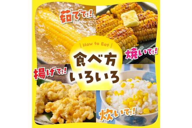 ＜てんとうむしばたけ＞有機とうもろこし5本　有機野菜 甘い 野菜 ふるさと納税 とうもろこし 期間限定 とうもろこしごはん かき揚げ 有機 オーガニック 産地直送 旬野菜 旬 コーン バター ペッパーランチ シャキシャキ 弾ける 丸ごと かぶりつきBR00029