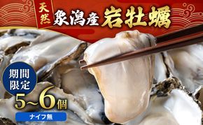 【先行予約 7月上旬～下旬発送予定】象潟産 天然岩牡蠣 5～6個 ナイフ無【牡蠣 夏牡蠣 かき 象潟 生食可 魚介類 海鮮 海産物 海の幸】　