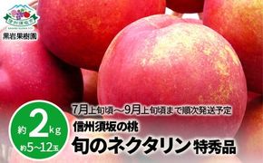 信州須坂の桃 旬のネクタリン 特秀品 約2kg (約5～12玉) 《黒岩果樹園》■2025年発送■※7月上旬頃～9月上旬頃まで順次発送予定