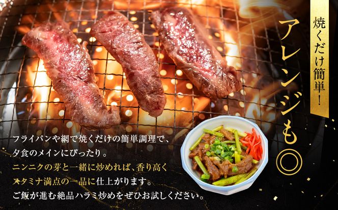 【エスイー】牛ジューシーハラミタレ漬け 500g×2パック 計1kg｜京都 食肉卸 自慢の肉質 牛ハラミ 人気セット 小分け［ 食肉卸の絶品ハラミ タレ漬け 小分け 便利 人気 おすすめ 肉 お肉 牛肉 焼肉 お取り寄せ 通販 送料無料 ふるさと納税 ] 261009_A-WX004