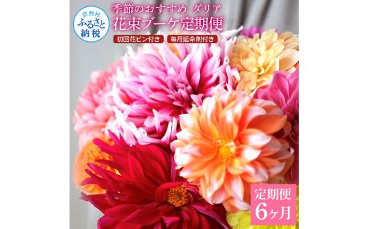 【CF-R7hbk】t182tmf　《6ヵ月定期便》 ダリア 花束 初回花瓶付 定期便 定期コース 全6回 延命剤付き ラッピング 花びん 生花 花束 ブーケ 花 お花 可愛い キレイ おしゃれ 供花 お供え ギフト プレゼント
