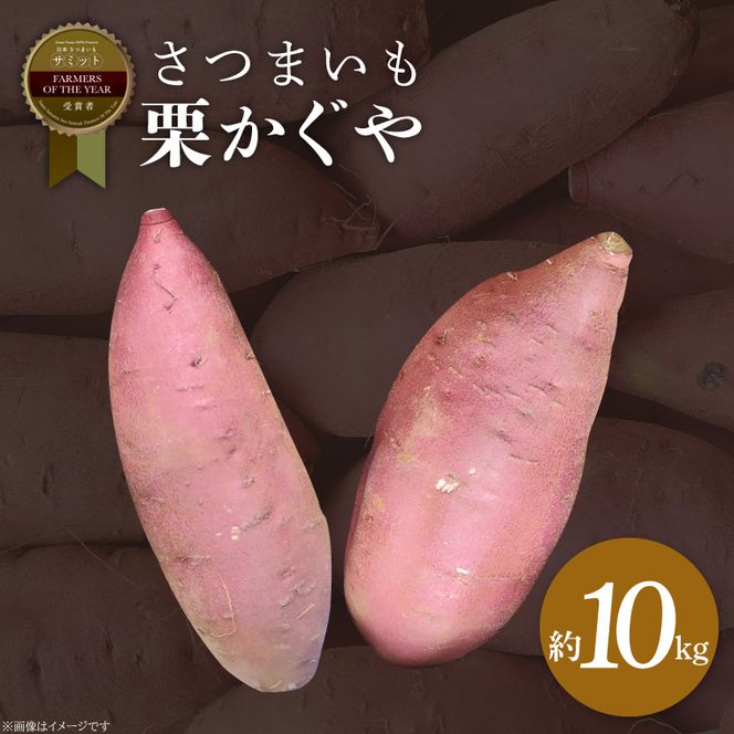 2025年度産 さつまいも 栗かぐや 約10kg｜さつまいも 芋 お芋 栗かぐや 渋谷農園 茨城県 行方市(BZ-51)