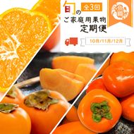 〈定期便〉【10・11・12月 全3回】紀州和歌山産旬のご家庭用果物セット(ひらたね・富有柿・みかん)