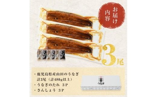 【無薬養鰻】 鹿児島産 山田のうなぎ ＜計480g以上＞（160g以上×3尾） a6-062