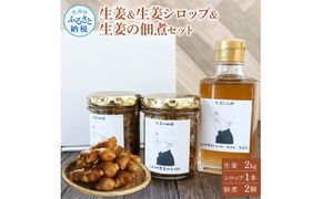 【CF-R7hbk】YTY004　生姜・生姜シロップ・生姜の佃煮 詰め合わせセット 生姜2ｋg 生姜シロップ×1本 生姜の佃煮×2個 ショウガ しょうが 佃煮 ジンジャー ジンジャーエール 生姜湯 料理 ごはんのお供 お取り寄せ
