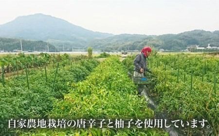 糸島産手造り極上柚子こしょう3色（青・黄・赤） 5本セット 《小林農園》福岡《糸島》[AZE002] 福岡 てづくり 調味料 九州 柚子 胡椒 あらびき ゆず