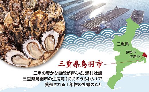 【先行予約／2026年12月より順次発送】I-55生食用浦村牡蠣１５個入りセット