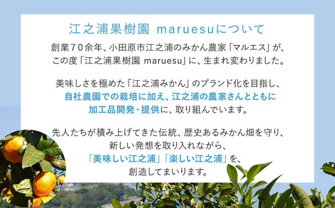 小田原 片浦レモンハンドクリーム１２個 142069_GJ099