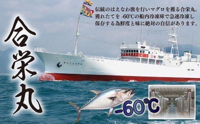 【 定期便 5回 】 厳選天然本マグロ 600g | 大トロ 中トロ 赤身 食べ比べ 刺身 刺し身 さしみ 海鮮丼 寿司 魚 ふるさと納税 限定 食べ比べ まぐろ 鮪 魚 魚介類 刺身 海鮮 まぐろ丼 手巻き寿司 冷凍 サク とろ 漬け丼 ふるさと納税定期便 ふるさと納税マグロ 20万円 10万円 頒布会 訳あり 人気 定期便 数量限定 期間限定 訳アリ 訳あり わけあり 高知県 室戸市