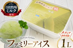 テレビで紹介！ アイス ジェラート 抹茶 1L ファミリーサイズ ジャンボサイズ [岩瀬牧場 北海道 砂川市 12260965] 冷凍 アイスクリーム 詰め合わせ スイーツ