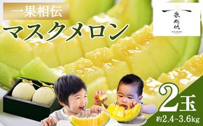 メロン 2個 青肉 2玉 贈答 ギフト 高知 一果相伝マスクメロン 青肉 先行予約 フルーツ メロン 果物 デザート tn-0012