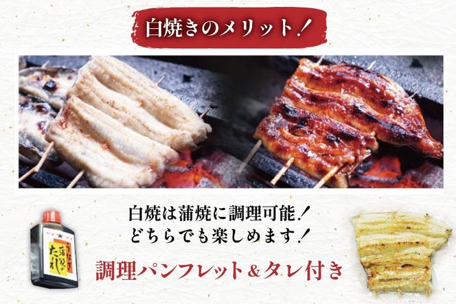 ブランド鰻【でしこ】 うなぎ 国産 静岡 雌うなぎ 炭火 白焼 大 約150g 4串 計600g [ヤママツ村田商店 静岡県 吉田町 22424589-c] 鰻 ウナギ unagi 白焼き 雌鰻 雌 メス でしこ 養鰻 静岡県産 真空パック 冷凍 血抜き締め