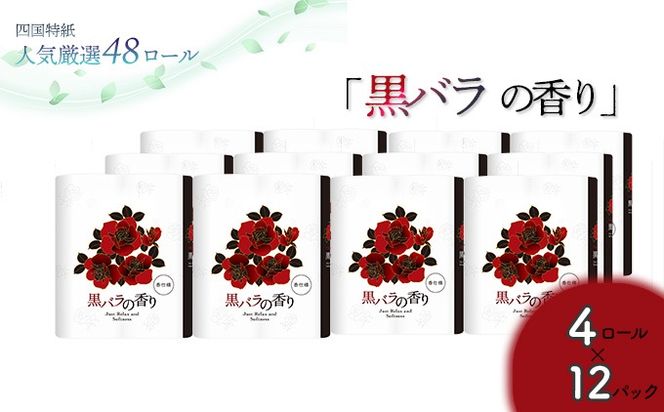 ym̒zo̍@gCbgy[p[_u  48[ilCIV[Yj