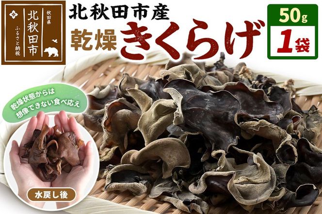 国産 乾燥きくらげ 50g 天日干し 秋田県北秋田市産 [きくらげ 木耳 キクラゲ 乾燥 手のひらサイズ 秋田県 北秋田市]|grmy-020101