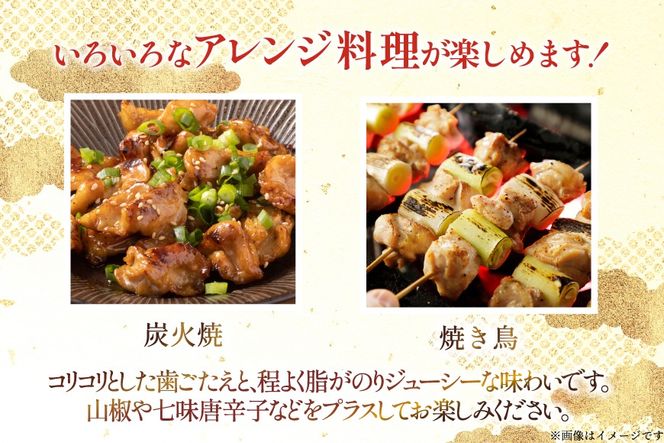 鶏肉 はらみ 宮崎県産 若鶏 ハラミ 300g 10p 計 3kg セット [TRINITY 宮崎県 日向市 452061343] 小分け 真空パック サガリ