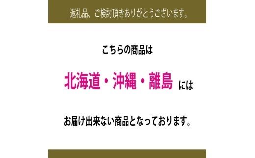 ぶどう 2026年 先行予約 9月・10月発送 高級品 シャインマスカット 晴王 1房 約650g ブドウ 葡萄 岡山県産 船穂産 フルーツ 果物 ギフト