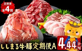 【定期便全4回】ししまる牛・豚定期便A(4ヶ月連続・計4.44kg以上) t0044-009