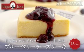 【パパジョンズ】ブルーベリーチーズケーキ 15cm｜京都 チーズケーキ専門店 人気 スイーツ［ プレーン アールグレイ マーブル チョコ ストロベリー ブルーベリー 濃厚 クリーミー おいしい グルメ おすすめ スイーツ お菓子 洋菓子 ケーキ お取り寄せ 通販 送料無料 ふるさと納税 ］ 261009_A-FJ001VC06