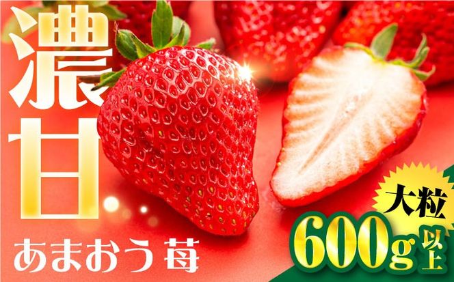 【化粧箱】あまおう いちご 600g以上 糸島市 / 株式会社フルコンス[ALO001]