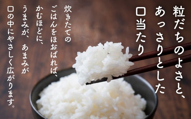 【令和7年産 新米】富富富＜ふふふ＞精米 5kg / お米 おこめ 米 ごはん 白米 ブランド米