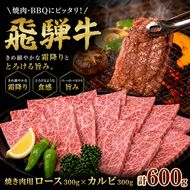 ふるさと納税　飛騨牛 ロース＆カルビ 焼肉 セット  計600g A5 和牛 牛肉 お肉 ロース カルビ 食べ比べ 焼肉用 バーベキュー BBQ 