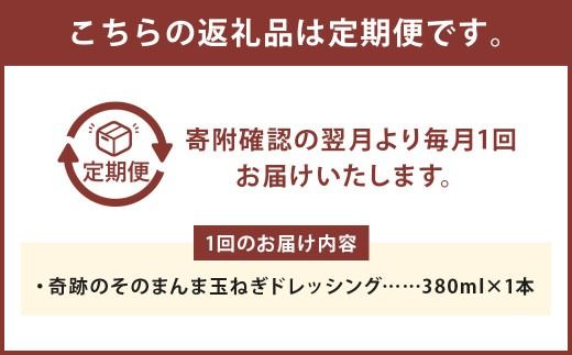 【3回定期便】 奇跡のそのまんま 玉ねぎドレッシング 380ml 計3本 ドレッシング 調味料 無添加 ノンオイル