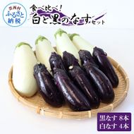 【先行予約】食べ比べ！白と黒のナスセット 黒ナス8本 白ナス4本 なす 茄子 黒なす 白なす 焼き茄子 煮浸し 漬物 浅漬け 味噌汁 おかず 野菜 常温 配送 国産