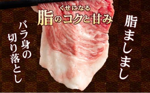 【訳あり】佐賀牛入り 牛切り落とし1.5kg（500g×3p）牛肉  脂ましまし 九州産黒毛和牛 食べ比べ ブリスケット トモバラ