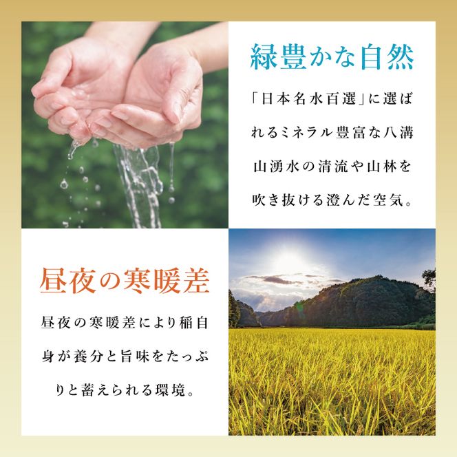 【6ヶ月定期便】大子産米 コシヒカリ（精米）2kg×6回|茨城県 大子町 こしひかり 白米 令和7年産 食味値 コンテスト(AV039)