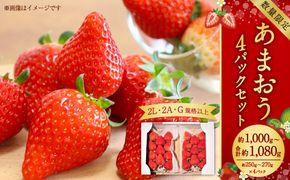 あまおう4パックセット 約250-270g×4パック（2L・2A・G規格以上）【数量限定】 いちご 苺 あまおう 果物 くだもの フルーツ 肉厚 ジューシー 福岡県産 【2025年1月上旬～3月下旬発送予定】