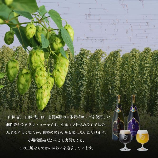 山伏ビール 壱・弐 各1本セット 【 クラフトビール セット 飲み比べセット 玉村本店 ビール 詰め合わせ 地ビール 山伏 飲み比べ 美山錦 ギフト 酒 お酒 アルコール 飲料 志賀高原 長野県 長野 】 
