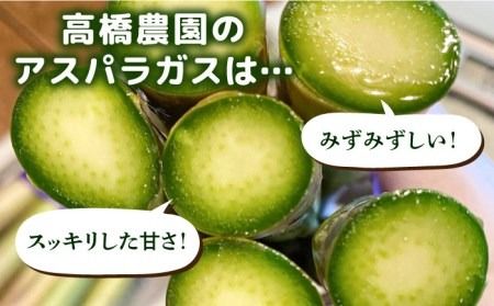 【先行受付】栽培期間中農薬不使用！ 朝採れのアスパラガス 1kg 【2026年3月中旬以降順次発送】糸島市 / 髙橋農園 [ANM001] アスパラガス 1kg 野菜 やさい 期間限定 アスパラ 予約 産地直送