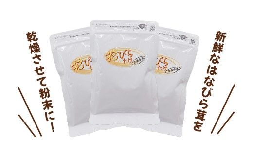 花びらたけ 粉末 3袋 セット（各 50g ） （茨城県共通返礼品：城里町） 花びら茸の粉末 ハナビラタケ 野菜 乾燥 花びらたけ きのこ パウダー 手軽 時短 [DY008us]