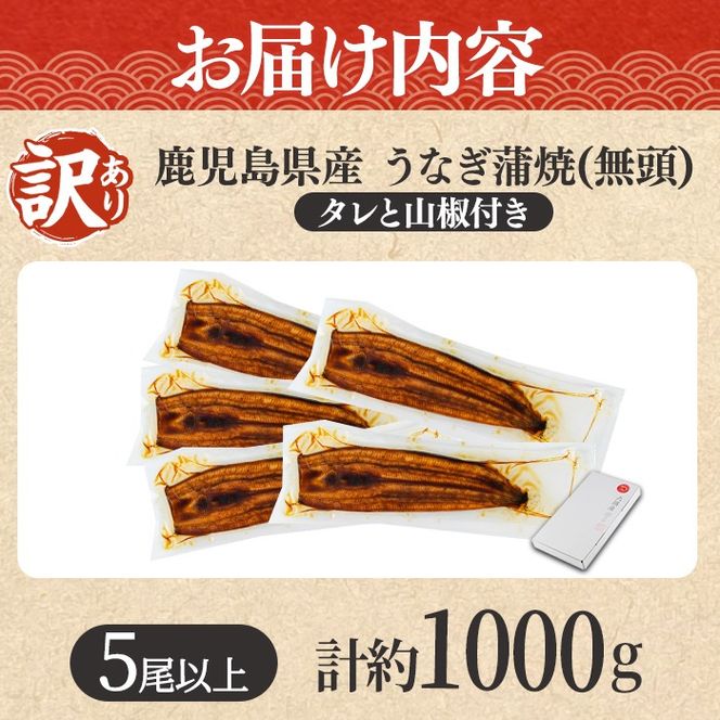 【0254362a】＜訳あり＞東串良町のうなぎ蒲焼(無頭)(5尾以上・計約1kg・タレ、山椒付) うなぎ 高級 ウナギ 鰻 国産 蒲焼 蒲焼き たれ 鹿児島 ふるさと 人気【アクアおおすみ】
