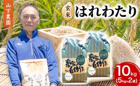 米 令和8年産 はれわたり 玄米 10kg (5kg×2袋) こめ お米 おこめ コメ ご飯 ごはん 令和8年 山下農園 青森 青森県