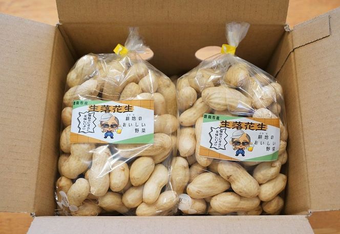 生落花生 おおまさり 2kg とれたて 耕地の美味しい野菜シリーズ第1弾 H132-034