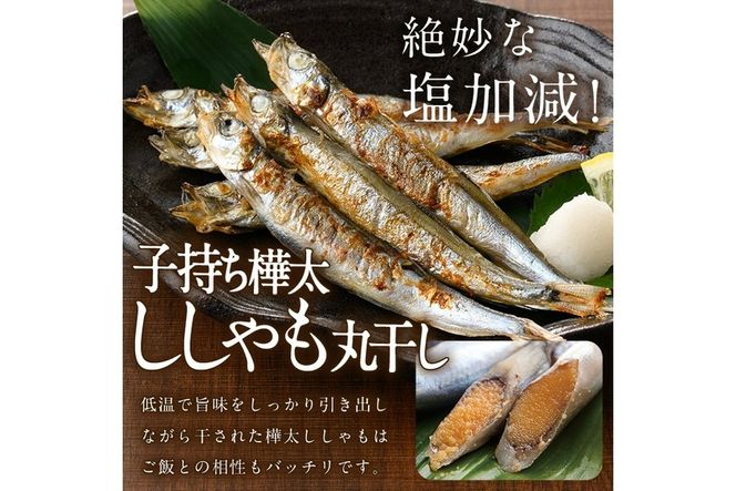 【定期便・全4回】3ヵ月に1回お届け！子持ち樺太ししゃも丸干し (総量4kg・1kg×4回) 干物 ししゃも シシャモ 丸干し 魚 海鮮 冷凍 大分県 佐伯市【AP86】【(株)ヤマジン】