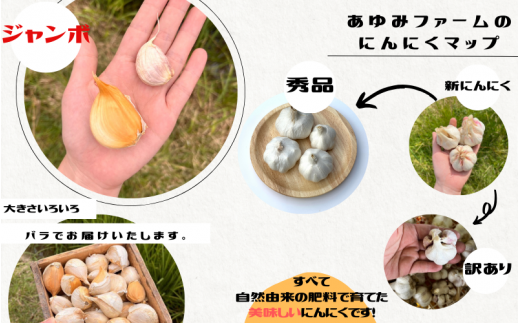 令和８年度産 秘境の地からお届けする あゆみファームのご家庭用新ジャンボ生にんにく 3kg【6月中旬～７月上旬から順次発送】/ にんにく ニンニク ジャンボにんにく 予約受付 ガーリック 和歌山【aym020】