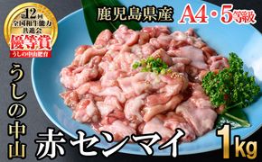 うしの中山 A4・A5等級黒毛和牛 赤センマイ（ギアラ）計1kg（500g×2P）a5-345