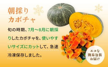 カボチャ 500g 冷凍 カット済み 旬の時期に急速冷凍 【福岡県糸島産】 糸島市 / オーガニックナガミツファーム 野菜 南瓜 かぼちゃ 	[AGE041]