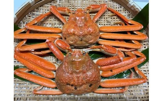 【11月順次発送】【訳あり】浜茹で 本ズワイガニ 足欠「雄ガニ 2杯（約600g）」 1043006 蟹 かに ずわい蟹 ズワイガニ