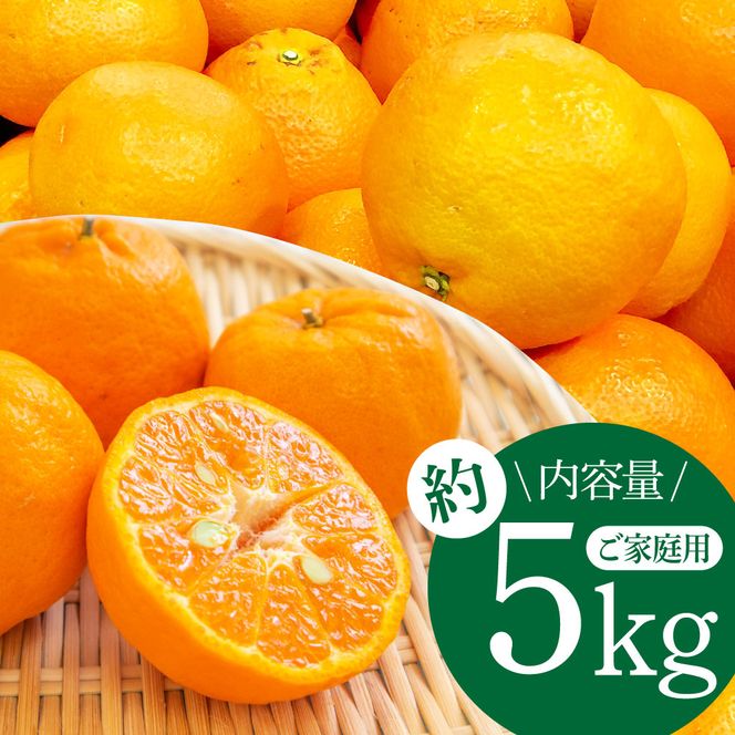 【CF-R7hbk】SKS027　訳あり “高知県産”ご家庭用ぽんかん（約5kg）〈須崎市共通返礼品〉みかん 農家直送 サイズ混合 有機質肥料100% ミカン 訳アリ ワケアリ 数量限定