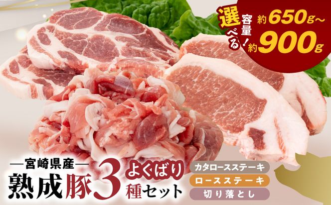 宮崎県産熟成豚 よくばり3種セットB（ステーキ2種/切り落とし） N0105-YA2285-sku